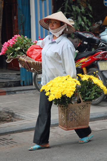 Flowers fresh from the farm.