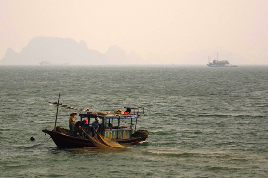 Fishers hard at work.