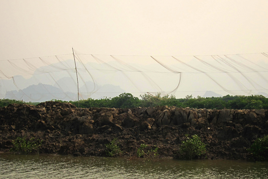 Fishing nets drying in the breeze.