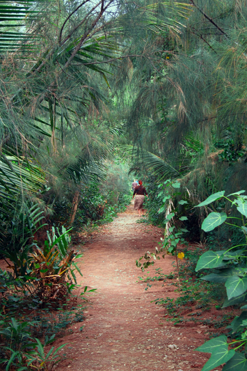 The trail to the cave.