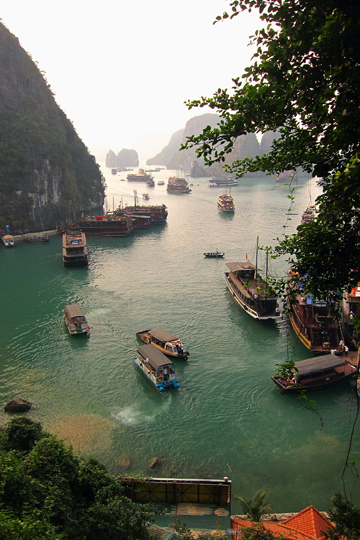 View of harbour from trail leading to caverns.