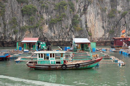 Cat Ba Island fish farms 03.
