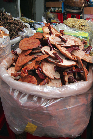 Mushrooms in Chinatown, Saigon.