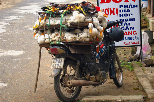 "Farm vehicle", Prao.