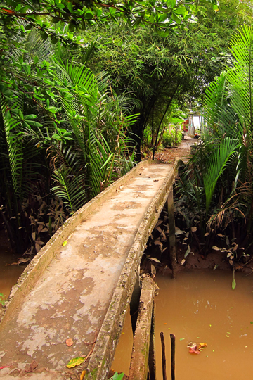 A rickety(?) concrete dock, near Can Tho.