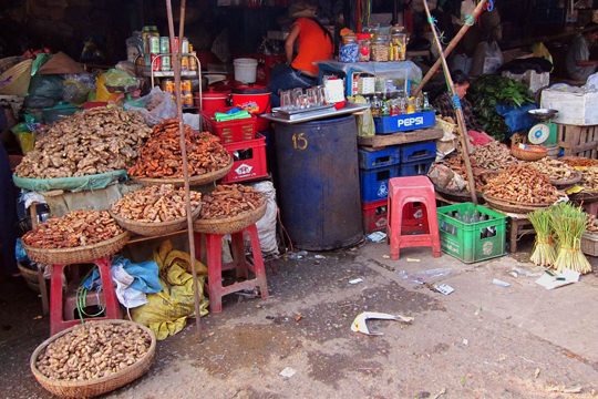 Gingers for sale at the Hue Central Market.