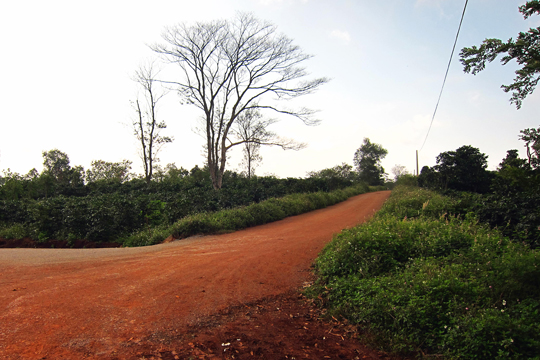 Khe Sahn - area surrounding the old US Marine base is now a coffee-growing region.