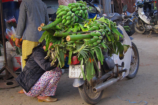 Banana delivery at the Hue Central Market.