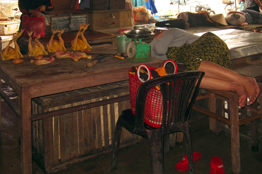 Napping with the chickens at the central market. Old Town, Hoi An.