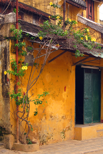 Yellow on yellow. Old Town, Hoi An.