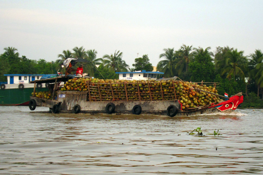 Load of Jack Fruit on the Mekong near Can Tho.