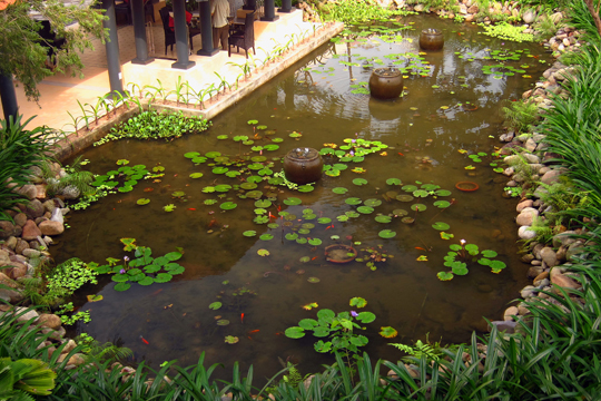 Koi Pond in courtyard of Life Heritage Hotel, Hoi An.