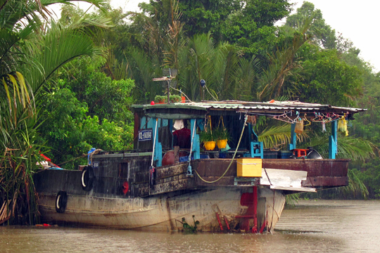 Very colourful, near Can Tho.