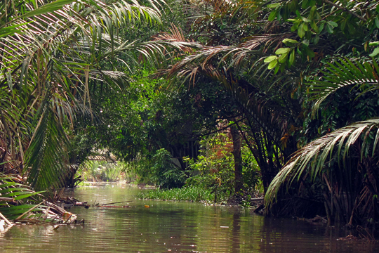 Almost foreboding, near Can Tho.