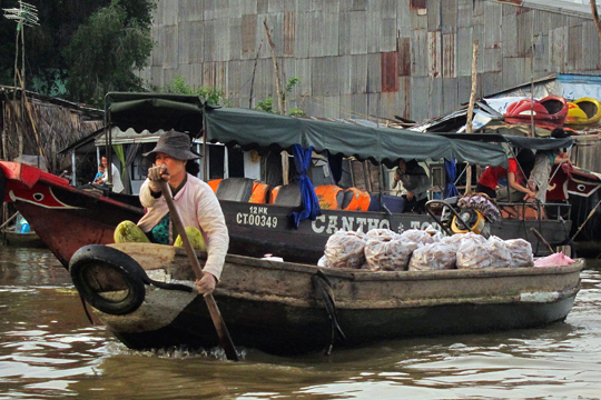 Load of Yams on the Mekong near Can Tho.