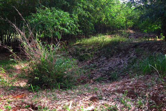 Remnants of crater from a US aerial bomb, Vinh Moc Tunnels.