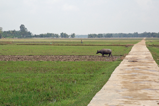 Eron's view from the lead bike, approaching My Son.