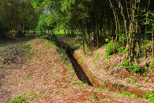 Communication trenches, Vinh Moc Tunnels.