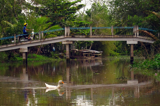 It's a race! Near Can Tho.