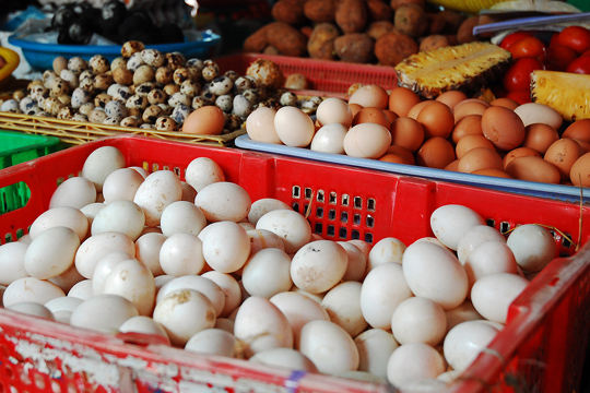 All kinds of eggs at the central market 02, Hoi An.