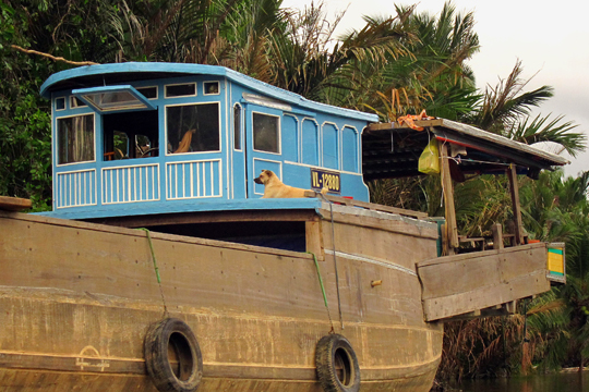 Guarding the boat, near Can Tho.