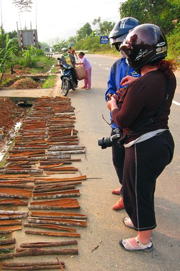 Cinnamon bark drying on the side of the road, Central Highlands.