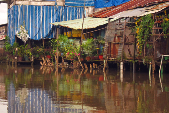 Green-thumb neighbours, near Can Tho.