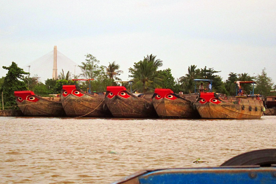 Gettin' the stare-down, near Can Tho.