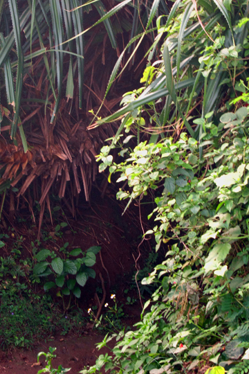 Tiny exit onto the shoreline, Vinh Moc Tunnels.