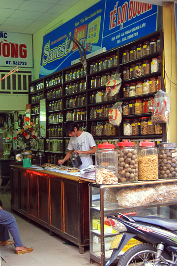 Chinese traditional medicine apothecary shop, Hue.