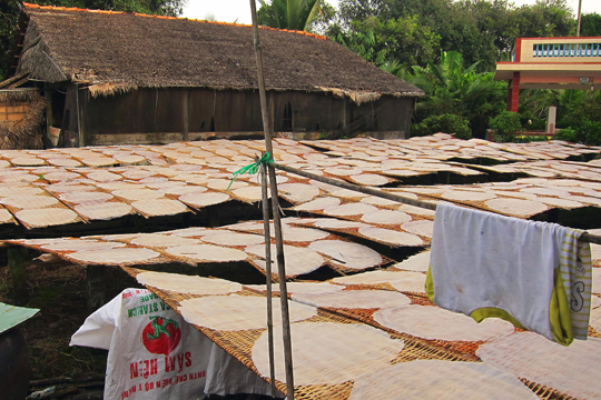 Rice paper drying in the sun near Can Tho.