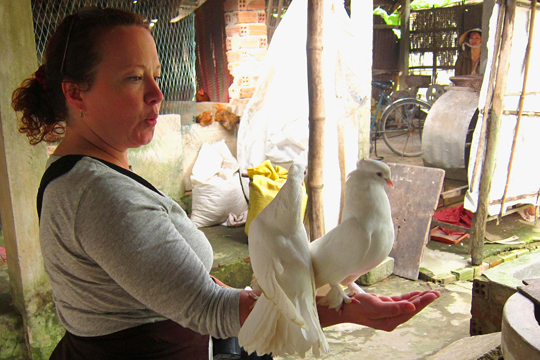 Eron and fancy pigeons, Quang Nam Prov.
