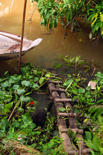 Wooden dock, near Can Tho.