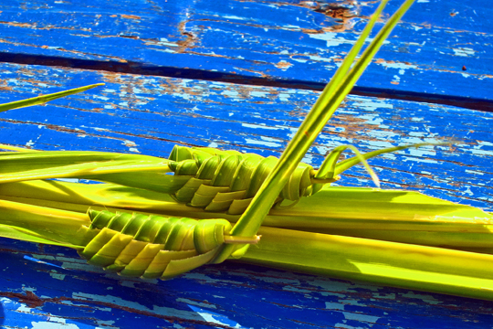 Crickets, near Can Tho.