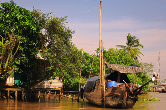 Tied up at home, near Can Tho.