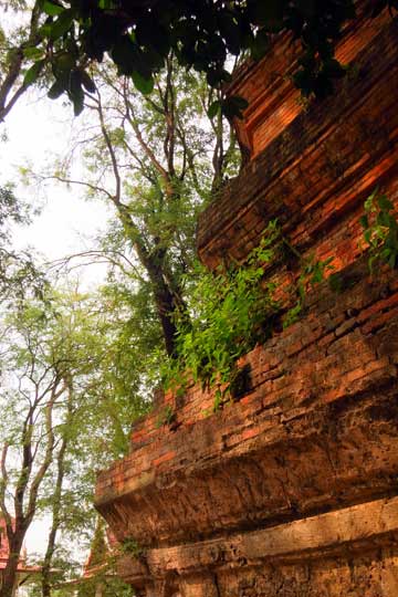 Wat Yai Chaimongkhon 08.