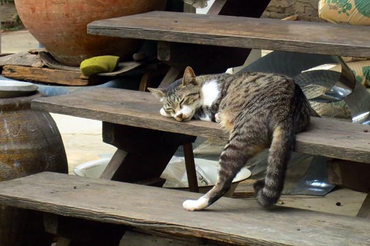 Cuz sleeping on just one step ain't enough.