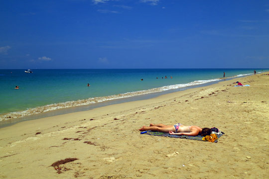 Almost deserted to the north.