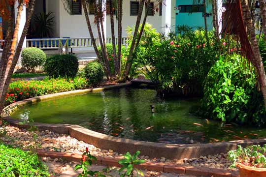 Koi Pond next to the departure area.
