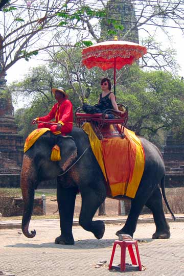 Fungus-infected Elephant.