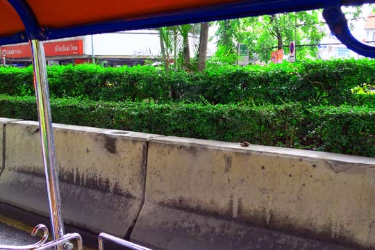 So big, we actually spotted it from the tuk-tuk.