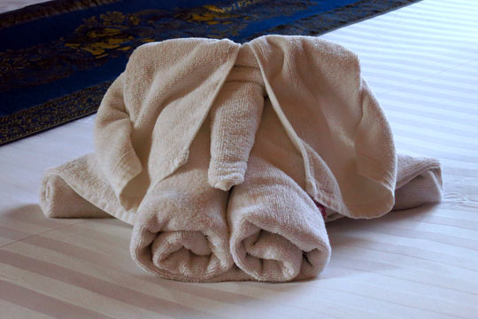 Elephant towel-art.