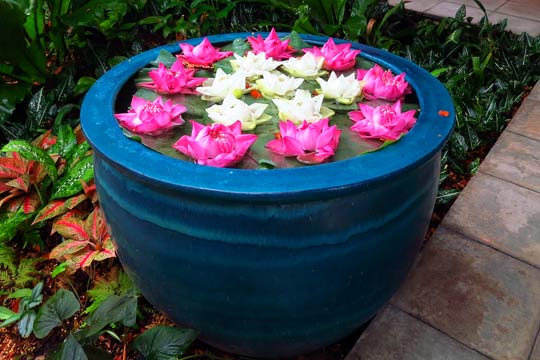 One of the many water features scattered about.