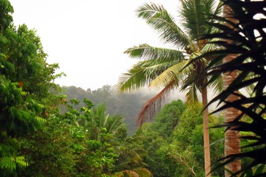 Overcast skies in the morning.