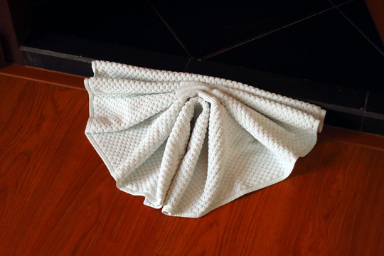 Even had bath-mat towel-art.