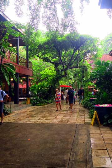 Main path to house complex.