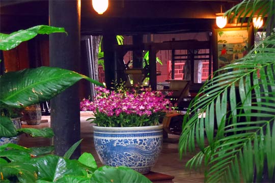 Looking into bottom floor of the house.