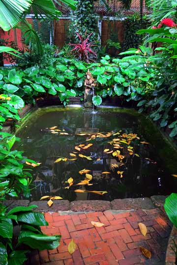 Pond hidden in garden.