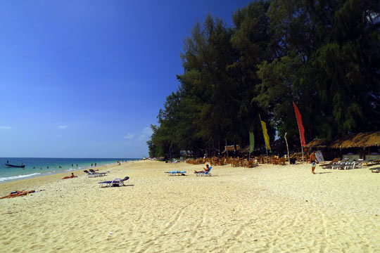 Looking north on the beach.