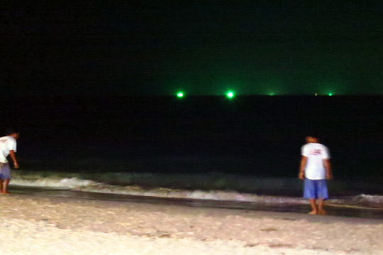 Waiters trying to catch crabs by hand.